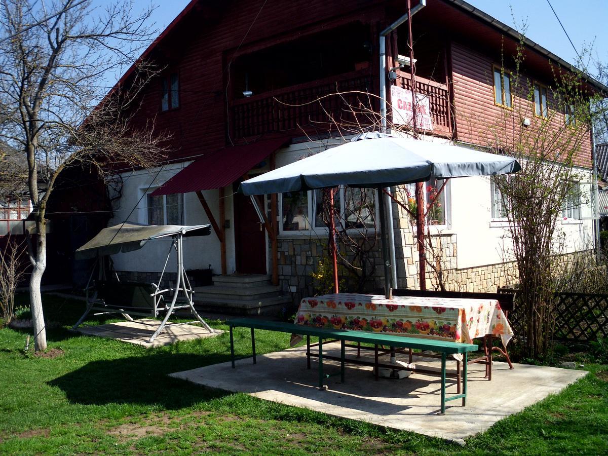 Vila Mihaela Breaza  Exterior photo