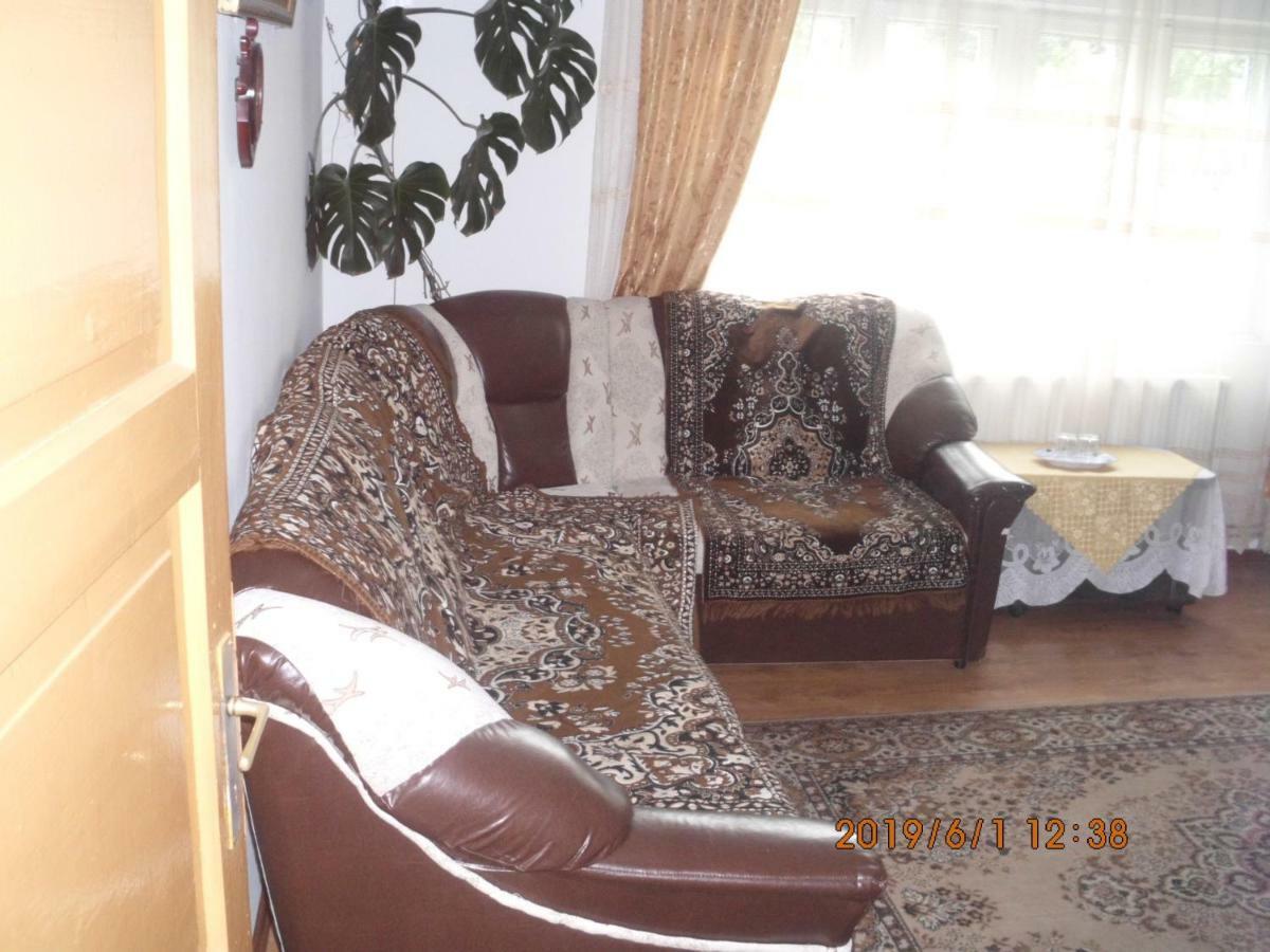 Vila Mihaela Breaza  Exterior photo